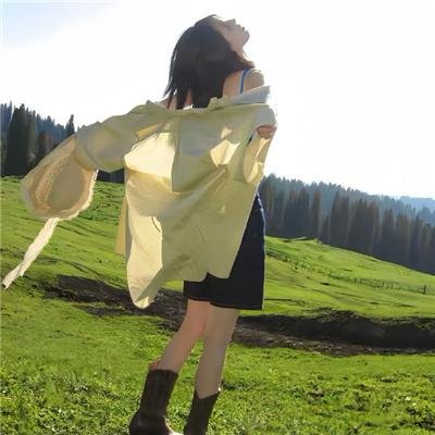 新夏威夷神探第五季